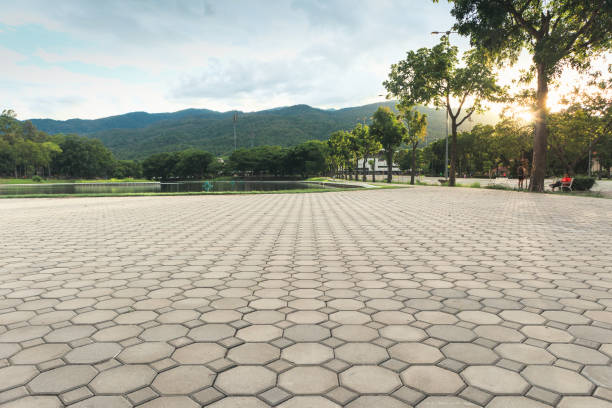 Best Commercial Driveway Pavers  in Mills, WY